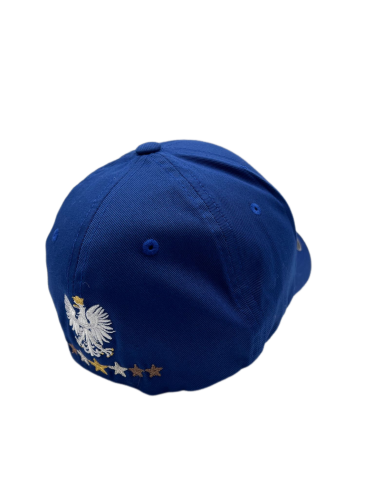 czapka-z-daszkiem-gollobracing-cap07-symboltg-niebieska-tyl-orzel.png